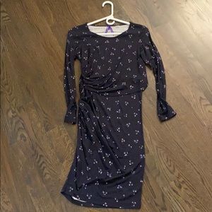 Seraphine Maternity and Nursing Dress